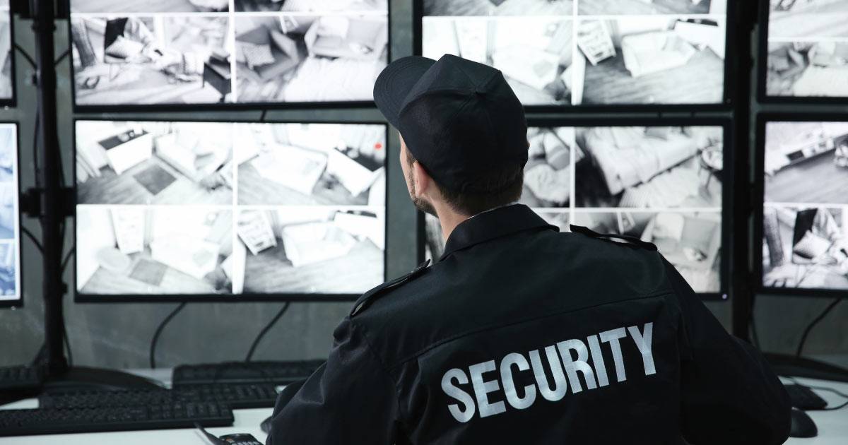 Stealth and Service: The Role of Low-Profile Security Guards